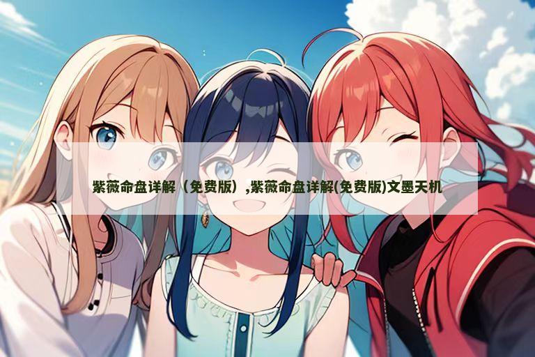 紫薇命盘详解（免费版）,紫薇命盘详解(免费版)文墨天机
