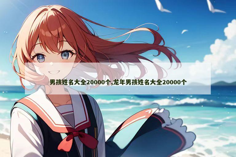 男孩姓名大全20000个,龙年男孩姓名大全20000个