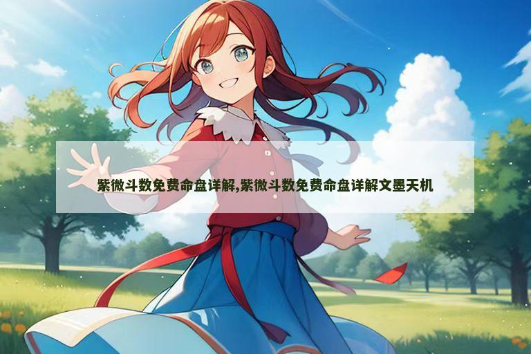 紫微斗数免费命盘详解,紫微斗数免费命盘详解文墨天机