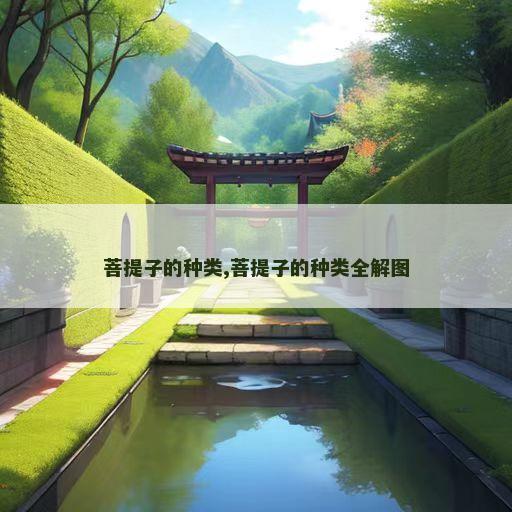 菩提子的种类,菩提子的种类全解图