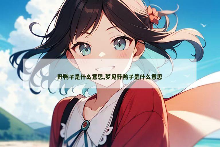 野鸭子是什么意思,梦见野鸭子是什么意思