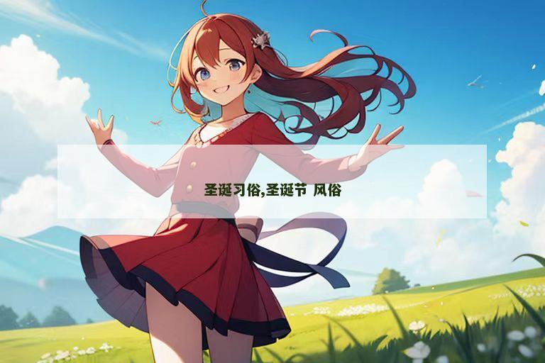 圣诞习俗,圣诞节 风俗